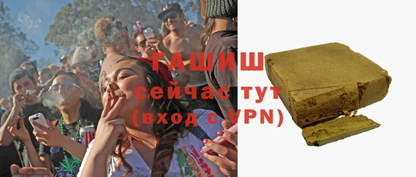 гашик Бородино