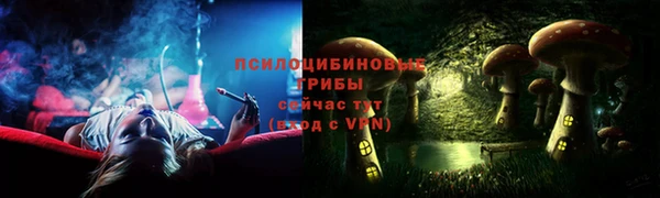 гашик Бородино