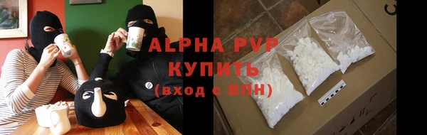 гашик Бородино