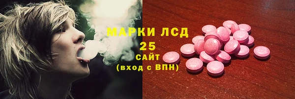 гашик Бородино