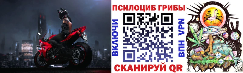 Псилоцибиновые грибы Psilocybe  сколько стоит  Меленки 